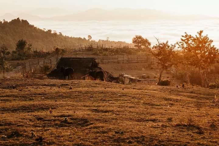 3 Days Nong Khiaw Treking To Remote Villages